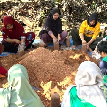 1607_Gelar-Pelatihan-Budidaya-Jamur-Tiram