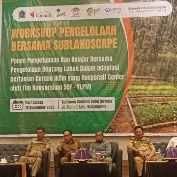 WhatsApp-Image-2025-12-16-at-19.54.59-1